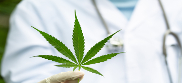 Online live CEUs for respiratory therapists:Medical Marijuana: Friend of Foe